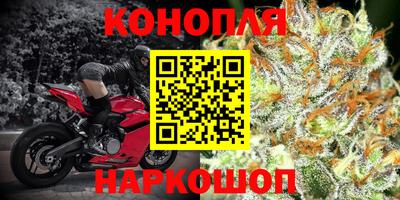 круглые Бузулук