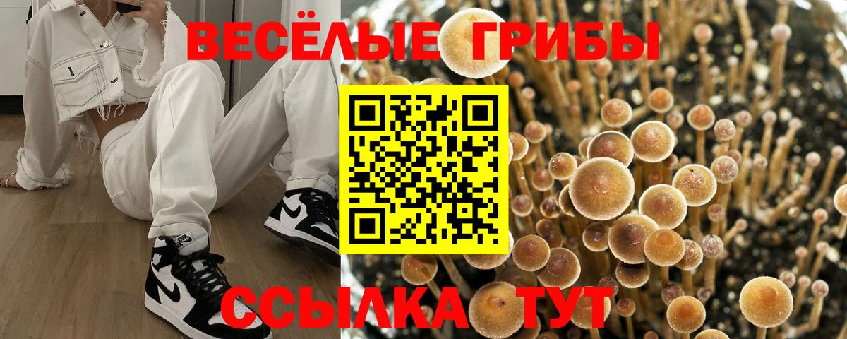 где найти   Галлюциногенные грибы ЛСД  Вход с VPN  Соликамск  Псилоцибиновые грибы мухоморы 